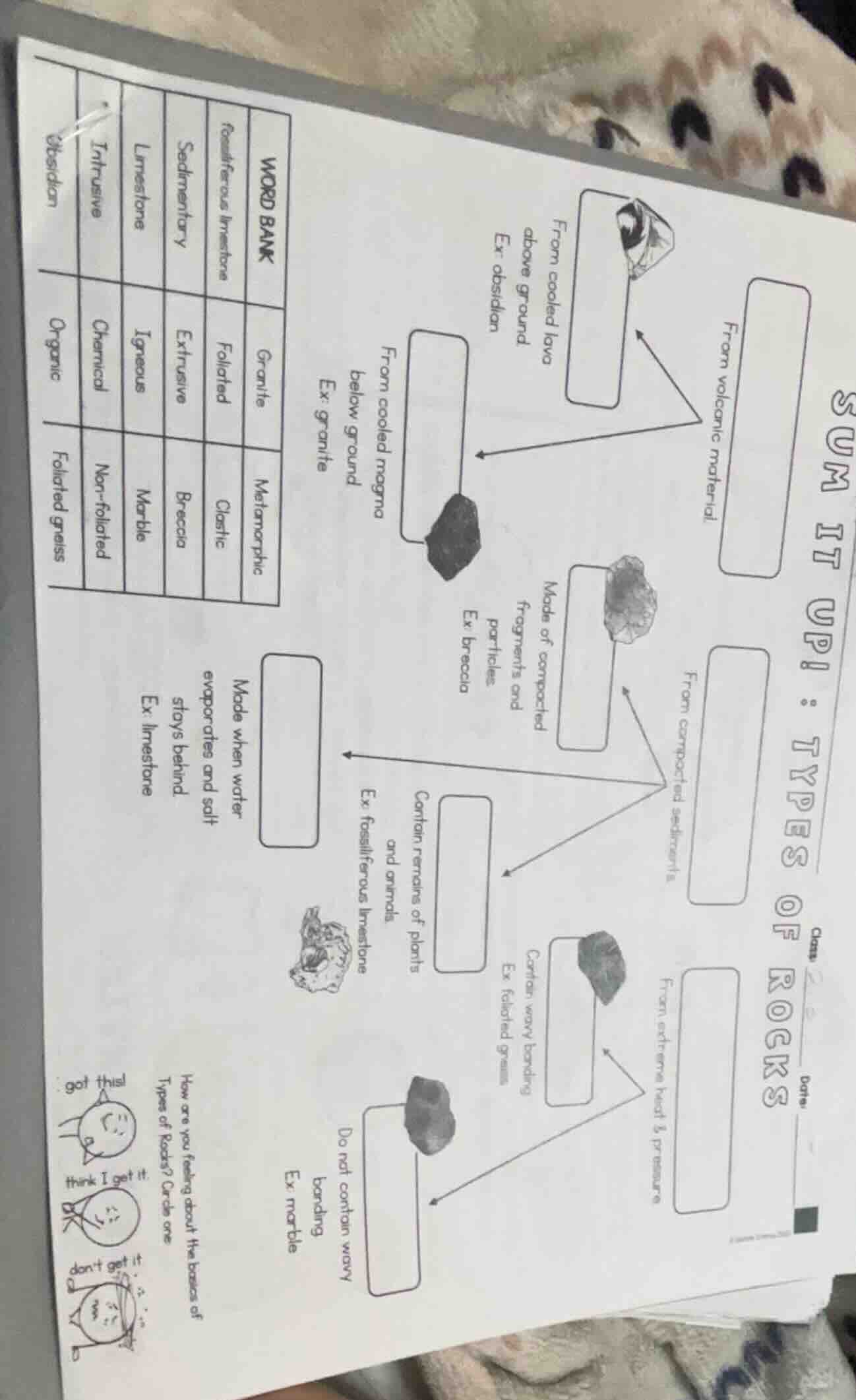 sum it up! types of rocks class ______ date ______ word bank fossilifer…