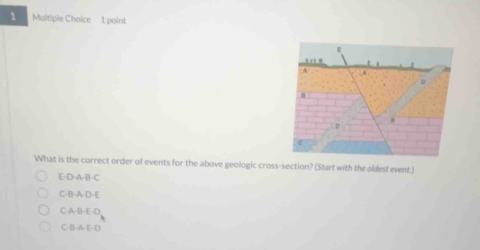 1 multiple choice 1 point what is the correct order of events for the a…