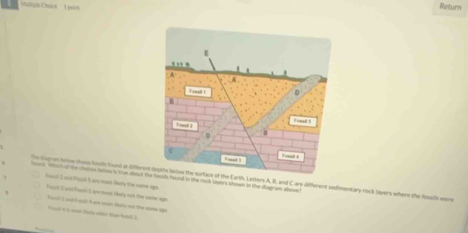 the diagram below shows fossils found at different depths below the sur…