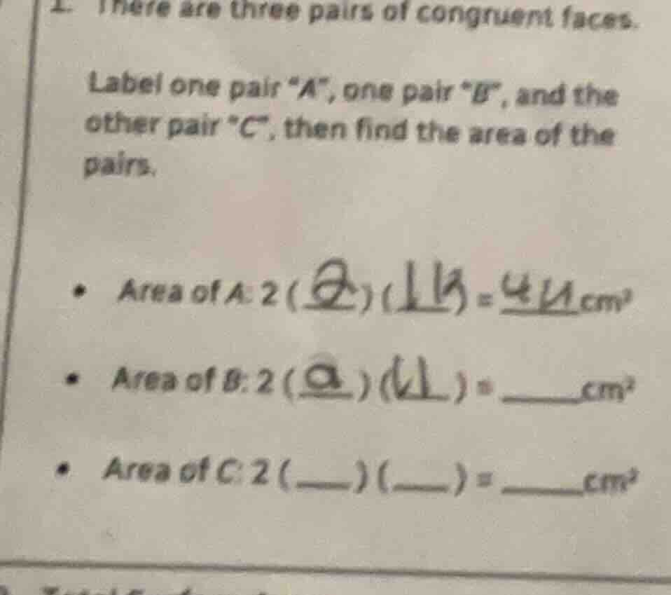 1. there are three pairs of congruent faces. label one pair “a”, one pa…