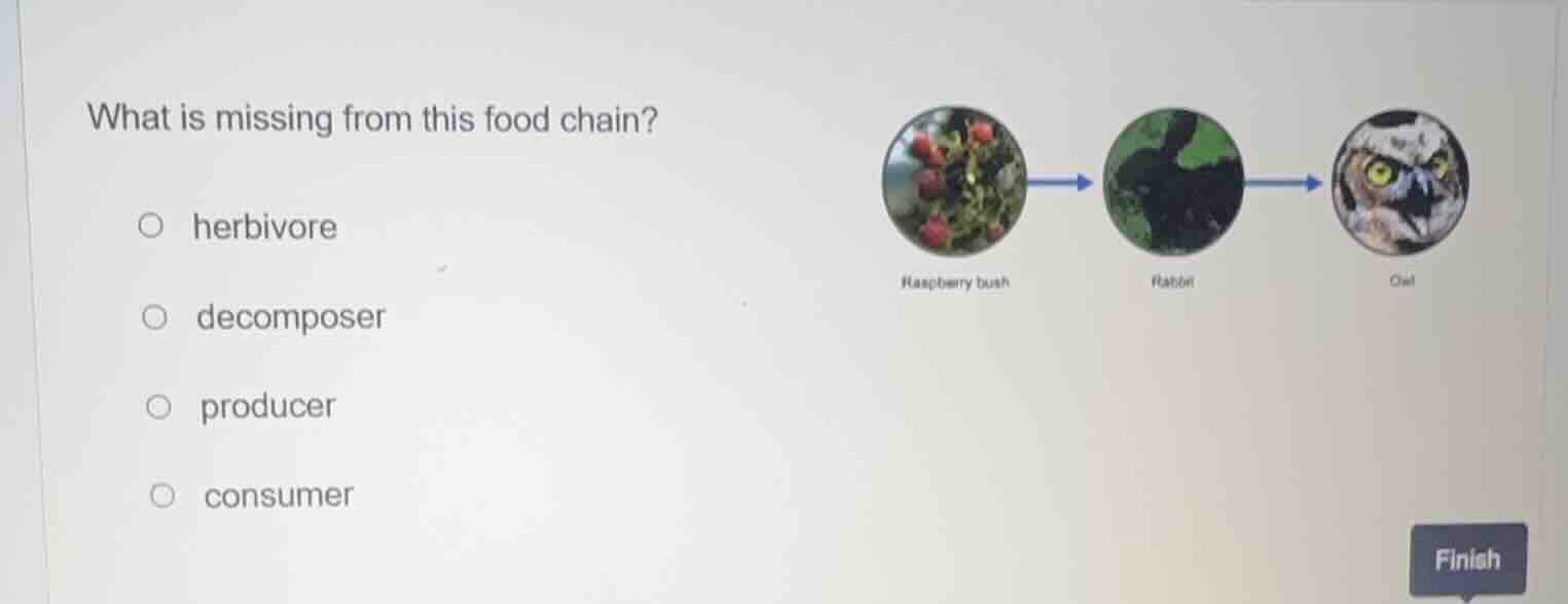 what is missing from this food chain? ○ herbivore ○ decomposer ○ produc…