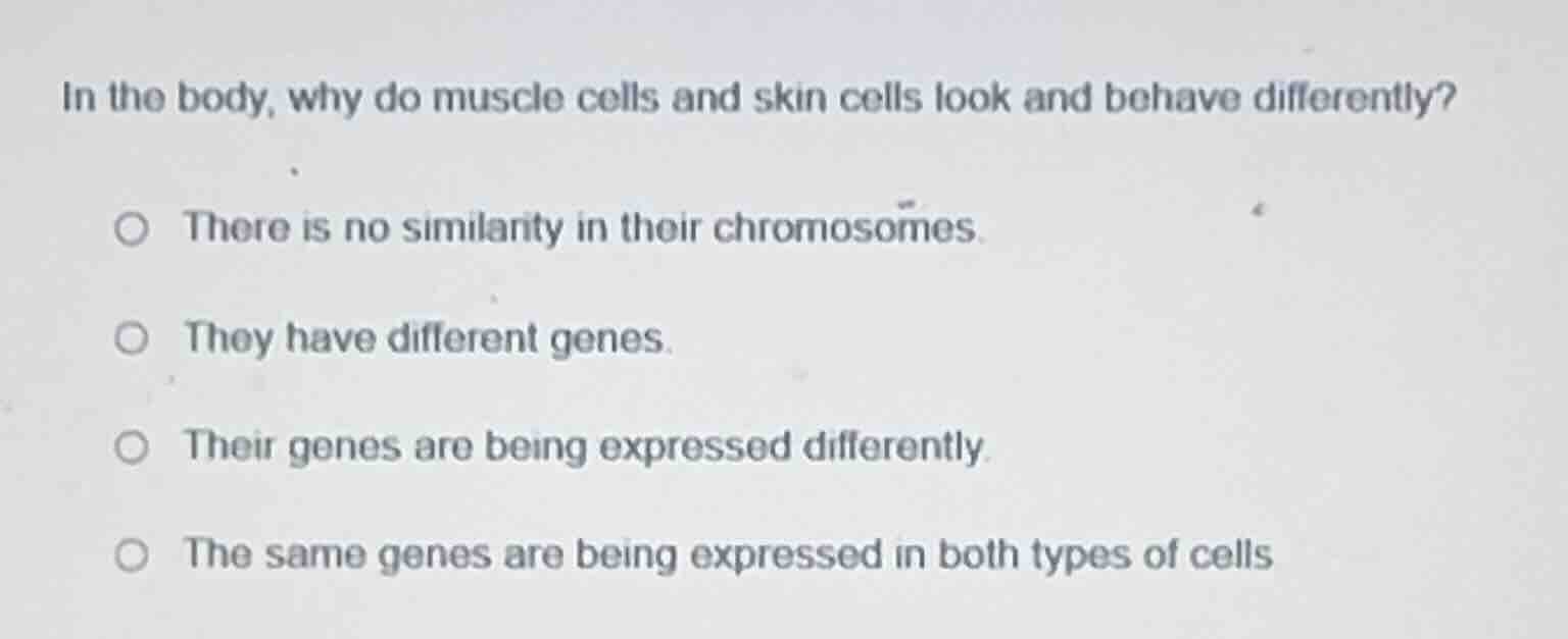 in the body, why do muscle cells and skin cells look and behave differe…
