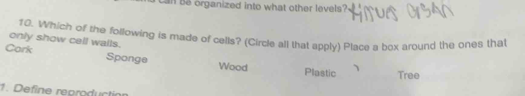 10. which of the following is made of cells? (circle all that apply) pl…