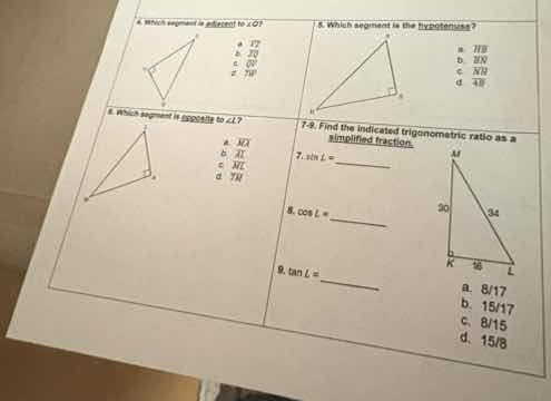 4. which segment is adjacent to ∠g? a. b. c. d. 6. which segment is opp…