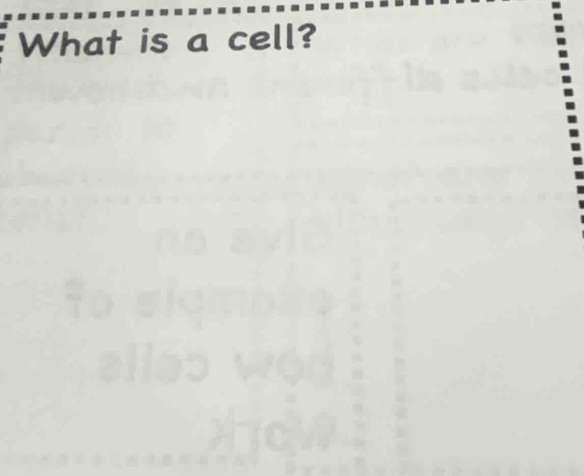 what is a cell?