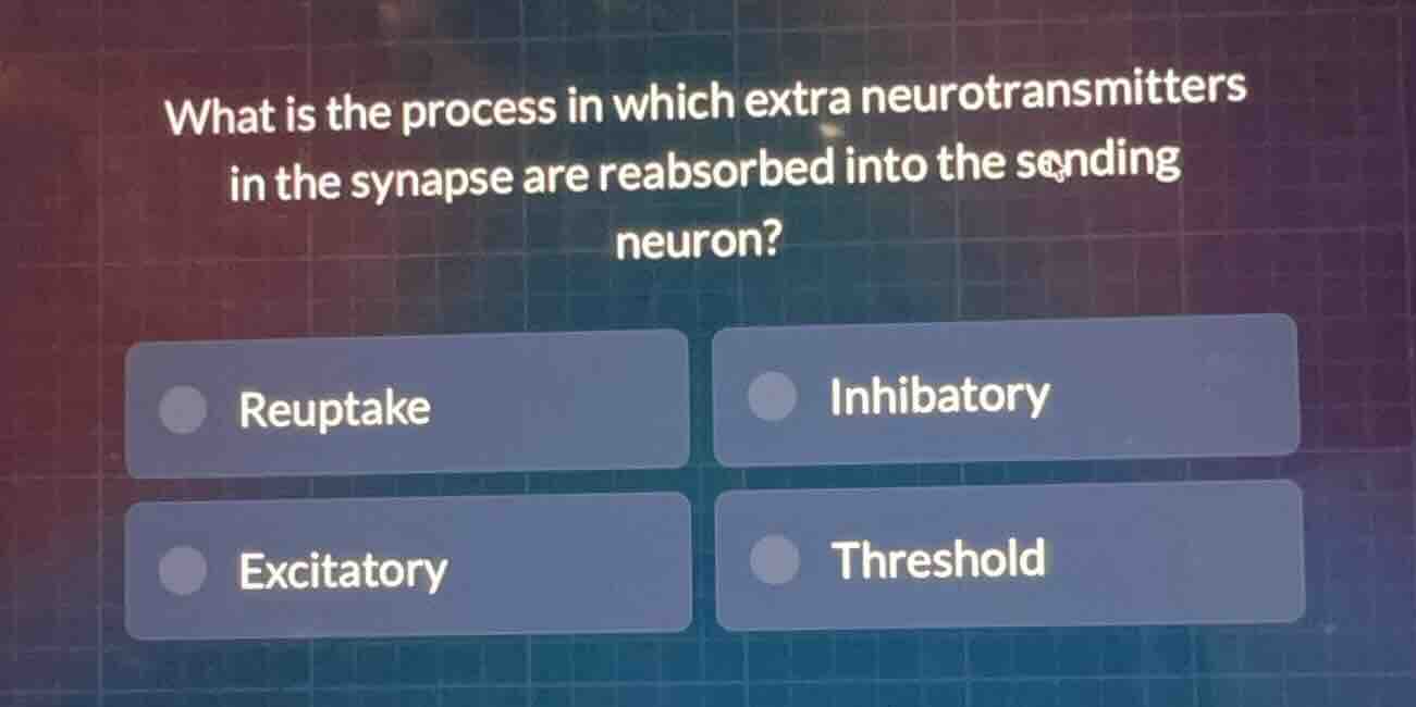 what is the process in which extra neurotransmitters in the synapse are…