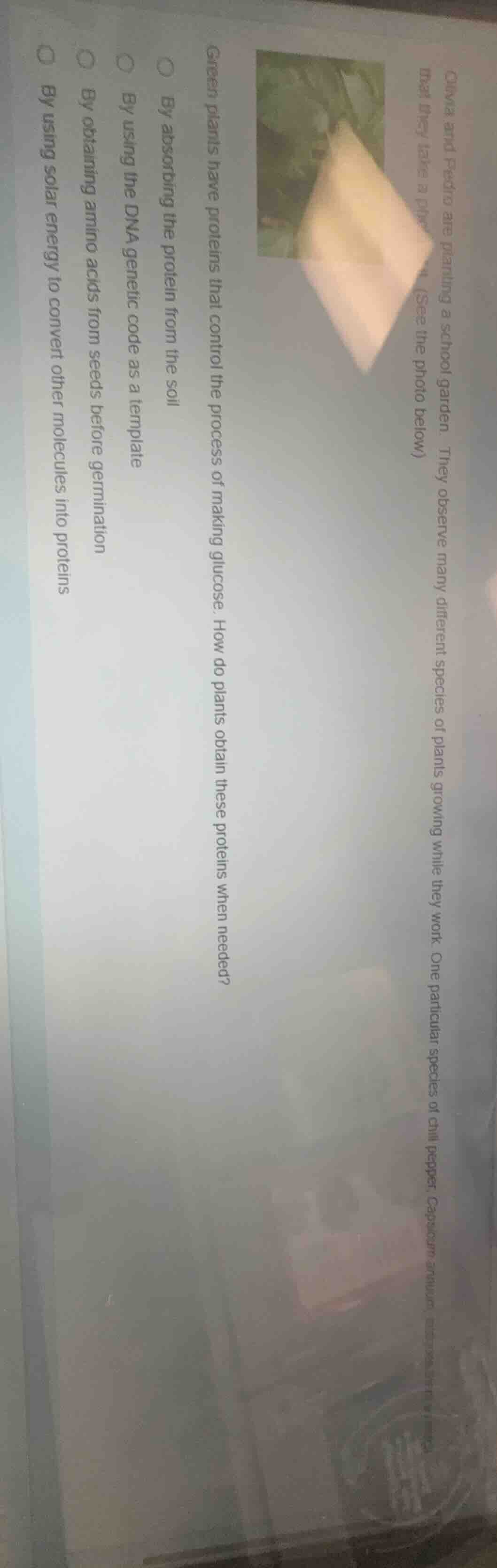 oliva and pedro are planting a school garden. they observe many differe…