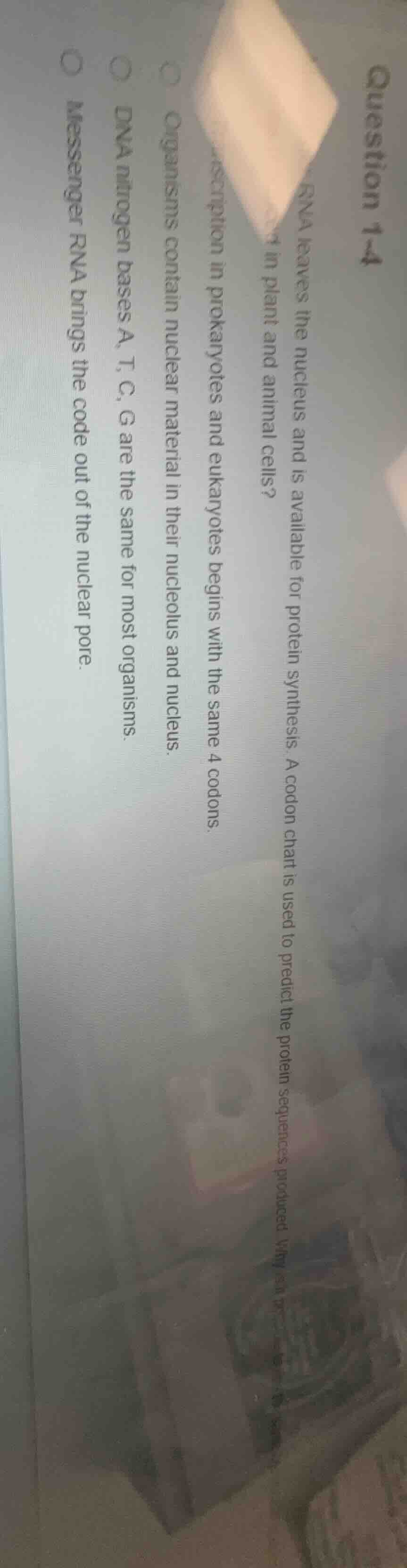 question 1-4 rna leaves the nucleus and is available for protein synthe…
