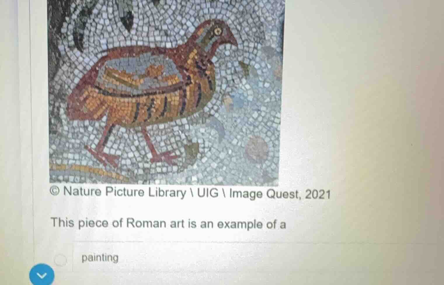 © nature picture library \\ uig \\ image quest, 2021 this piece of roma…