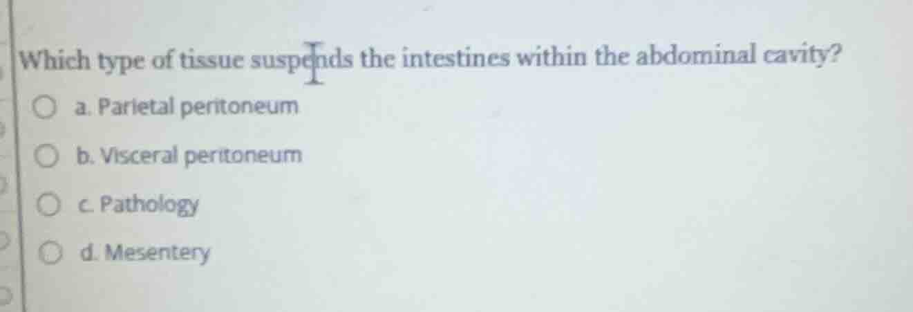which type of tissue suspends the intestines within the abdominal cavit…