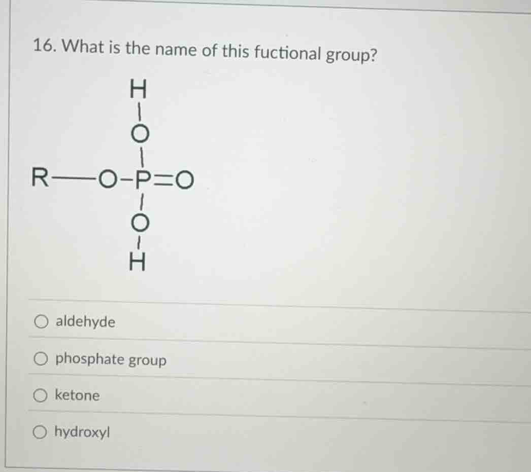 16. what is the name of this fuctional group? r—o—p(=o)(oh)(oh) (the st…