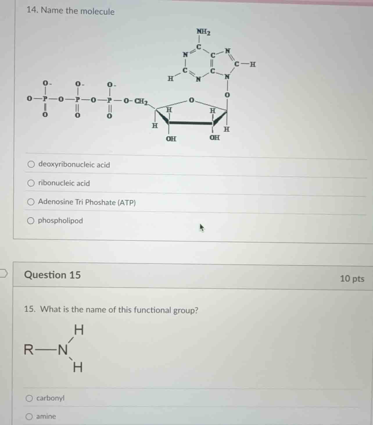14. name the molecule deoxyribonucleic acid ribonucleic acid adenosine …