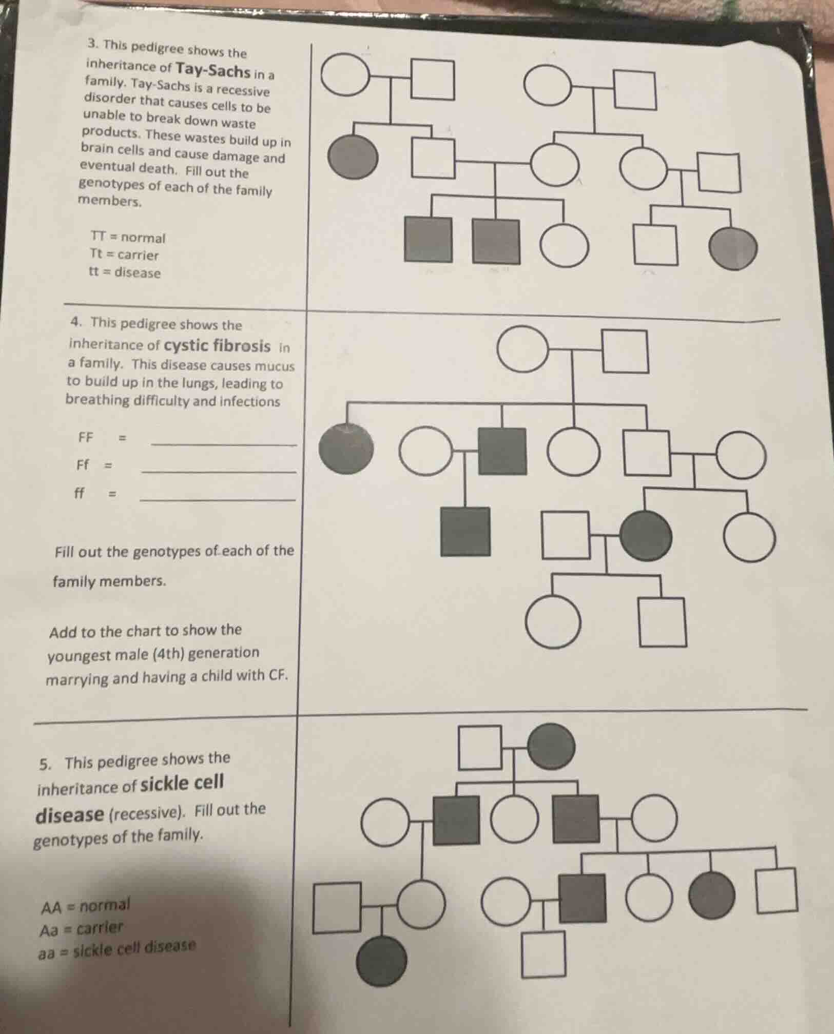 3. this pedigree shows the inheritance of tay - sachs in a family. tay …