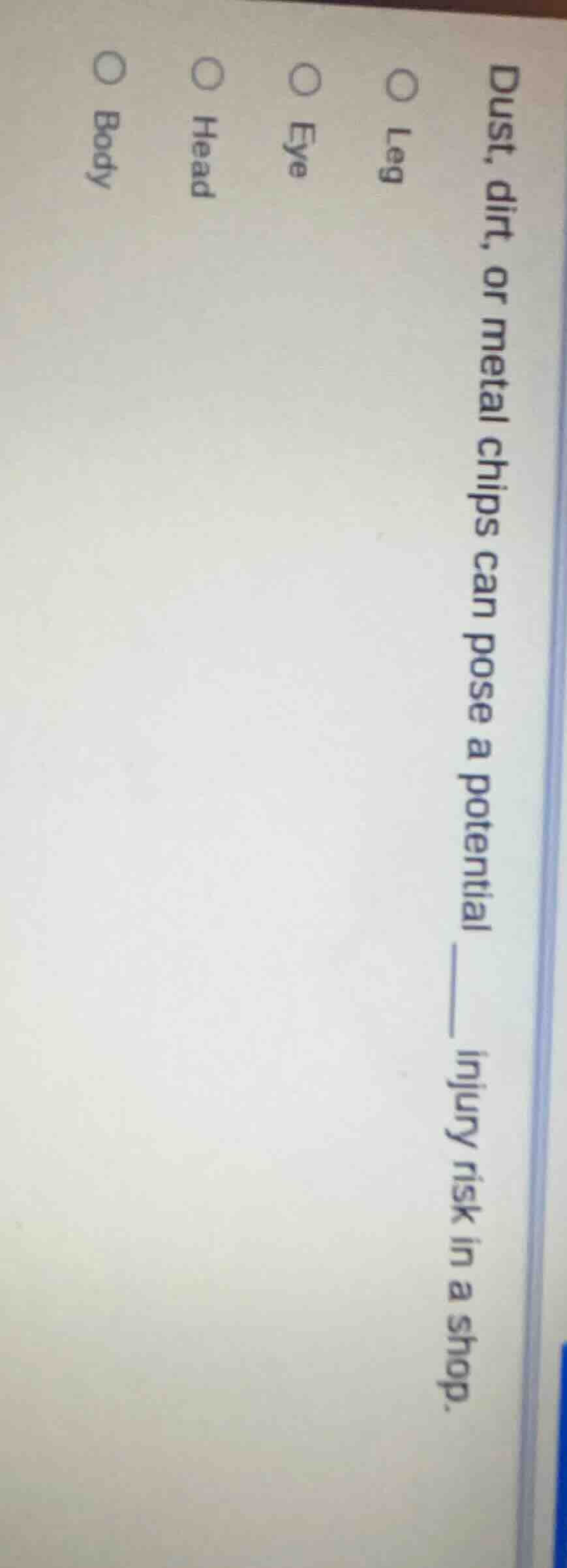 dust, dirt, or metal chips can pose a potential ____ injury risk in a s…