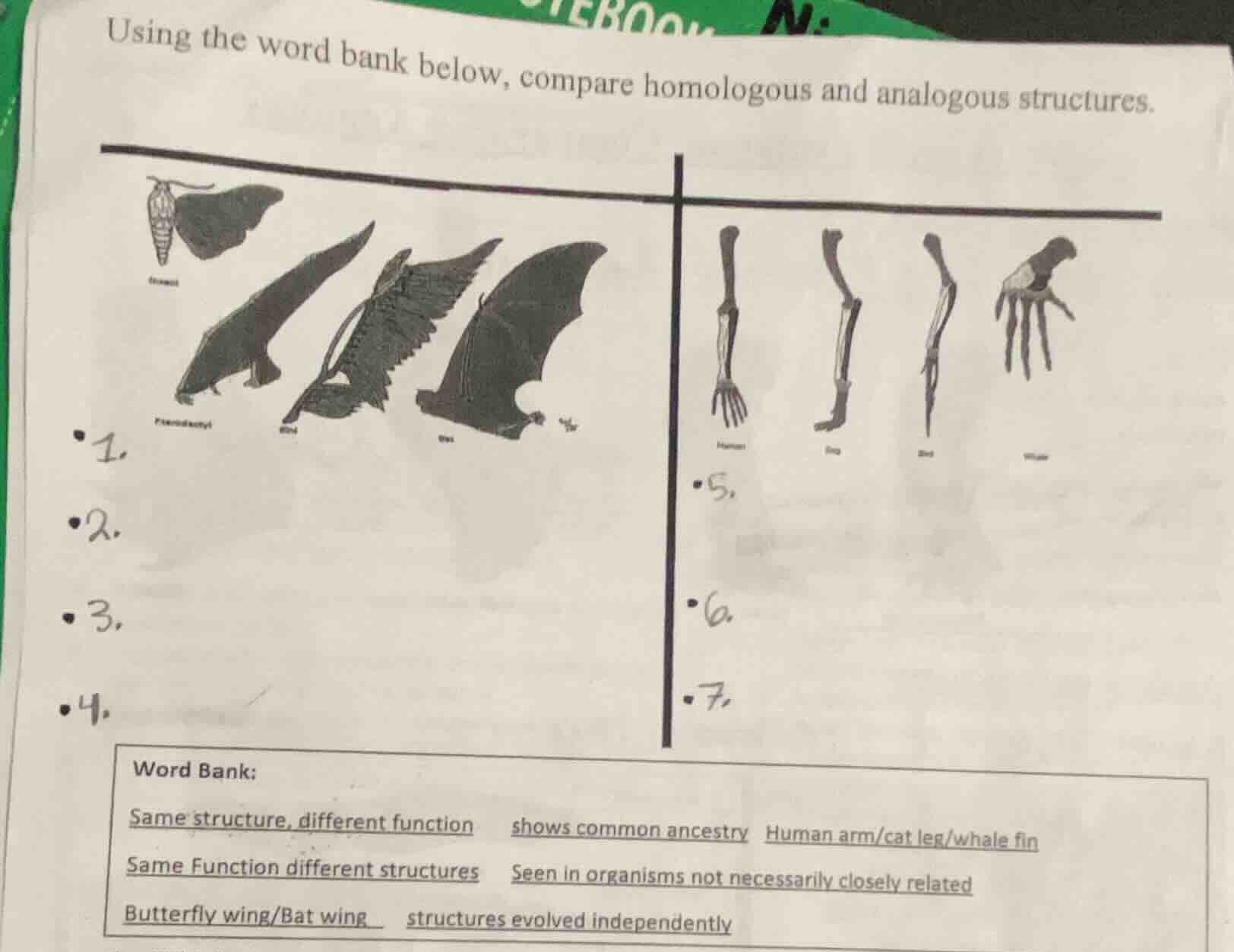 using the word bank below, compare homologous and analogous structures.…