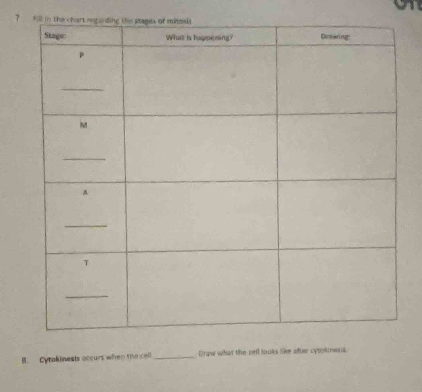 7 fill in the chart regarding the stages of mitosis stage | what is hap…