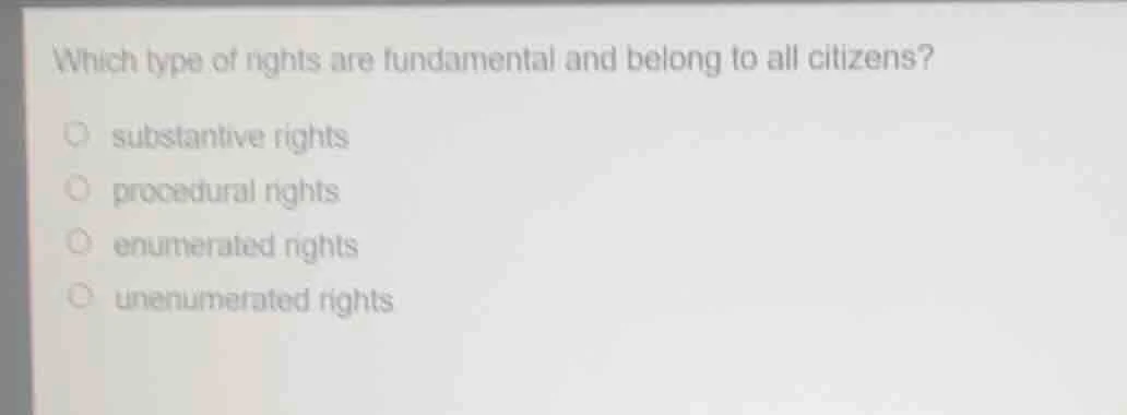 which type of rights are fundamental and belong to all citizens? substa…