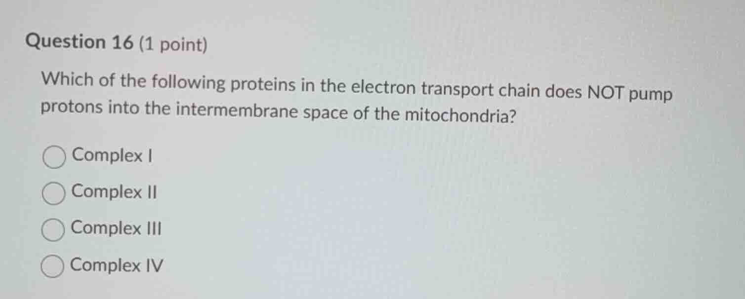 question 16 (1 point) which of the following proteins in the electron t…