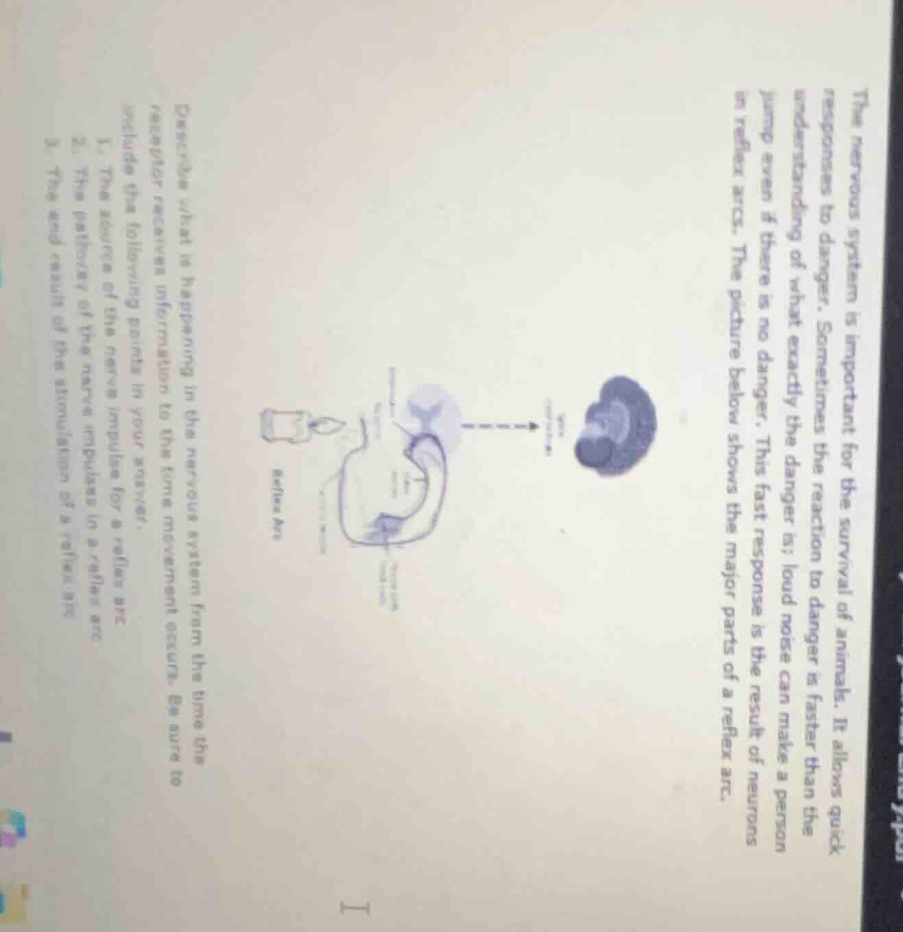 the nervous system is important for the survival of animals. it allows …