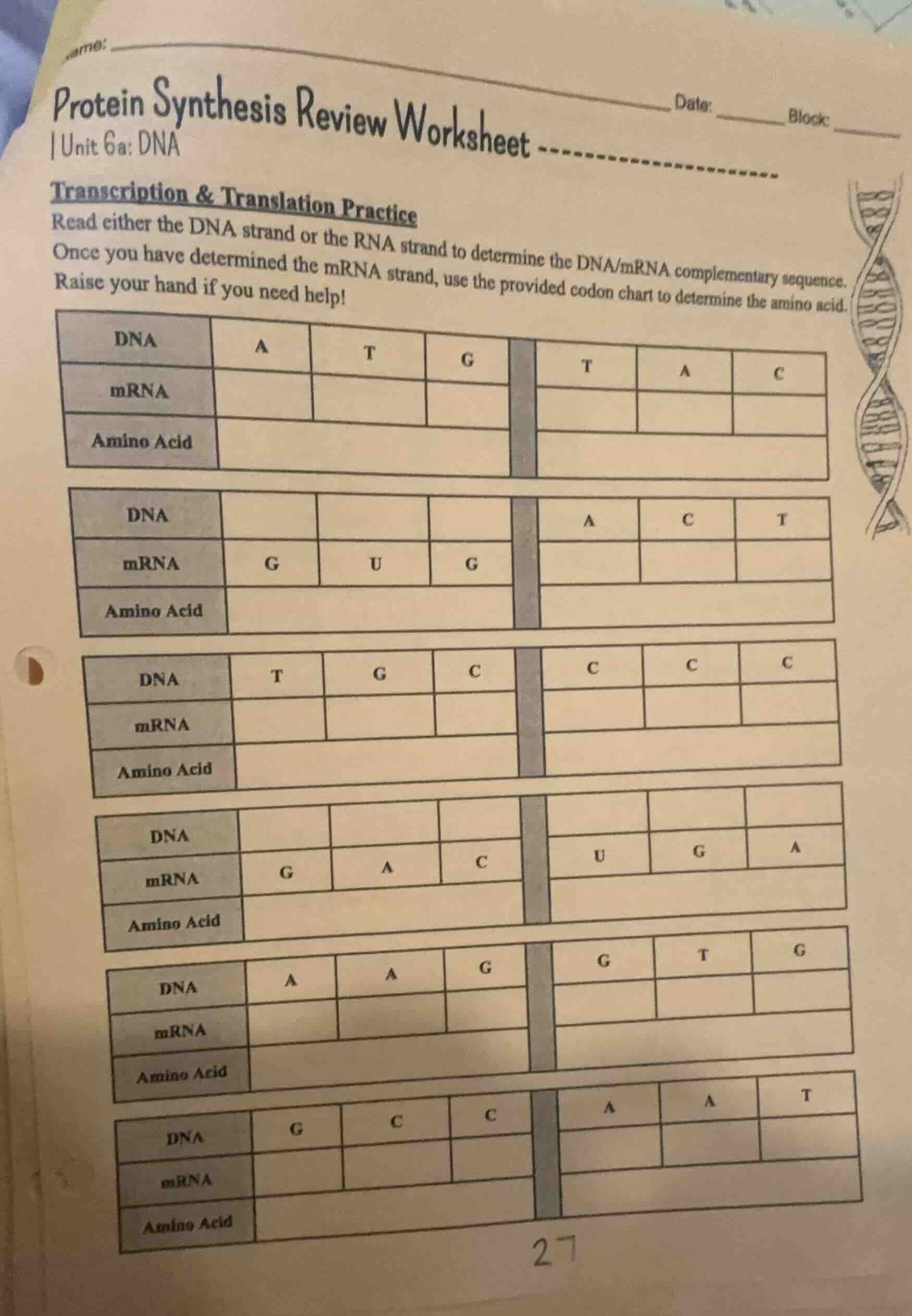 protein synthesis review worksheet unit 6a: dna transcription & transla…