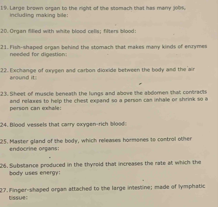 19. large brown organ to the right of the stomach that has many jobs, i…