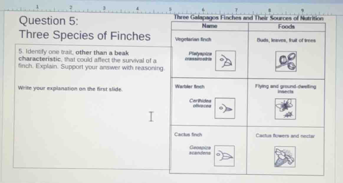question 5: three species of finches 5. identify one trait, other than …