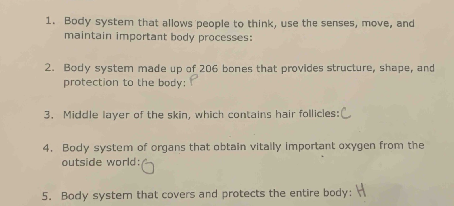 1. body system that allows people to think, use the senses, move, and m…