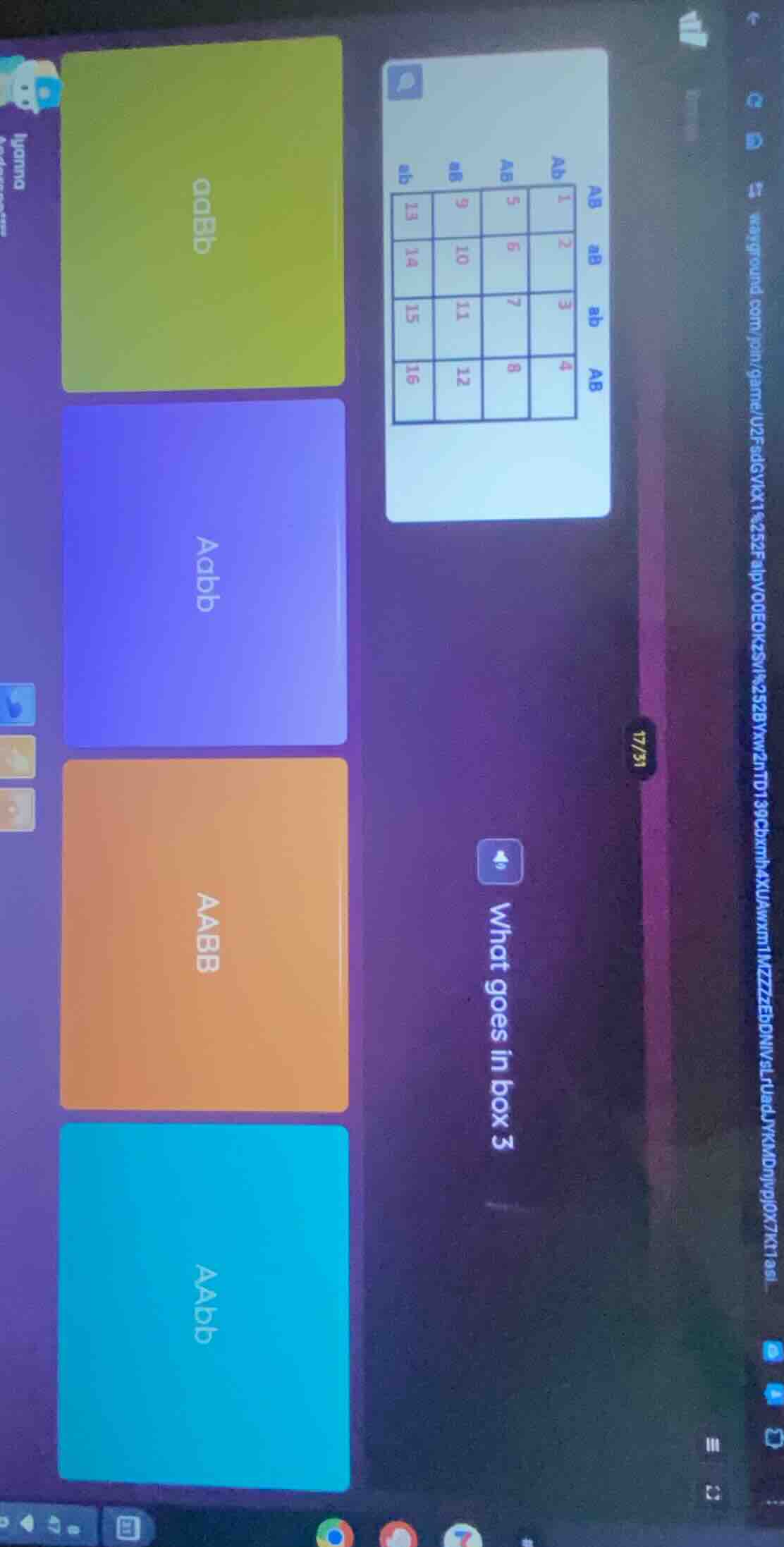 what goes in box 3 options: aabb, aabb, aabb, aabb