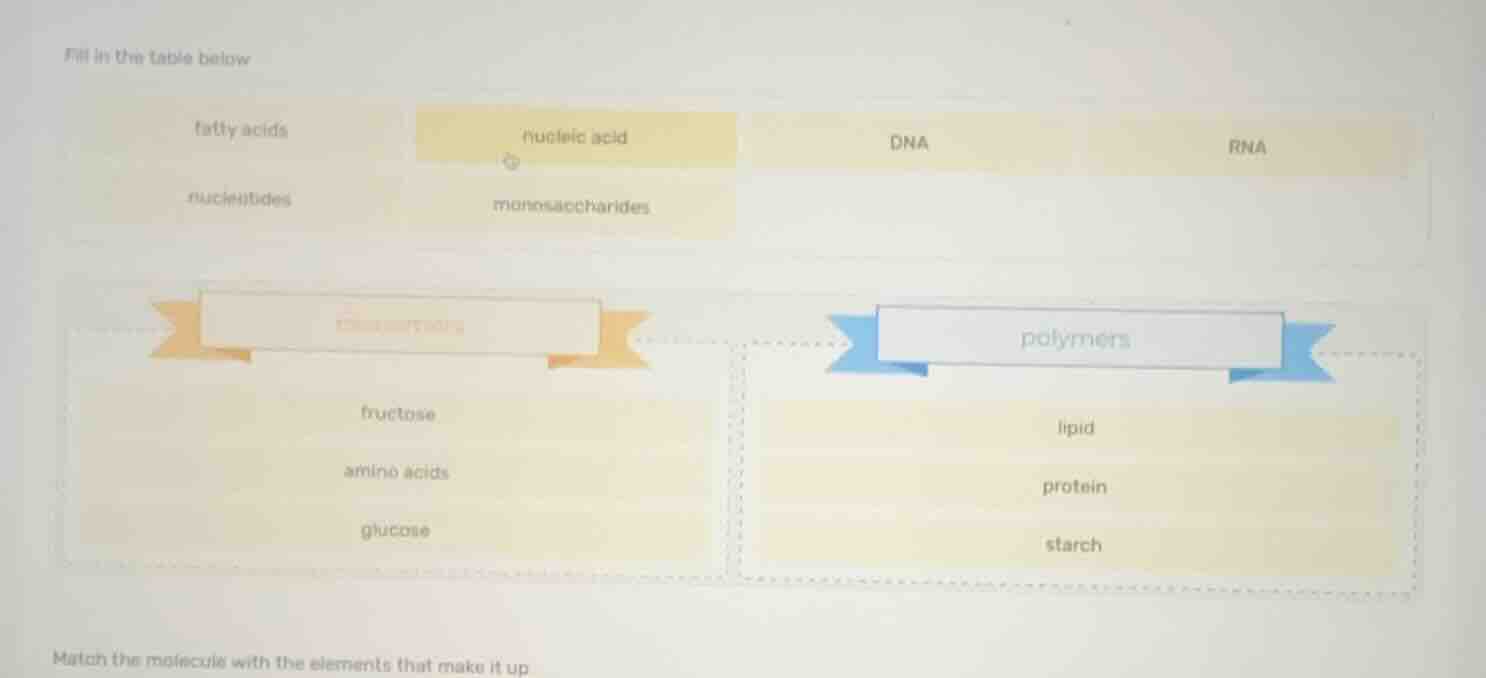 fill in the table below fatty acids nucleic acid dna rna nucleotides mo…