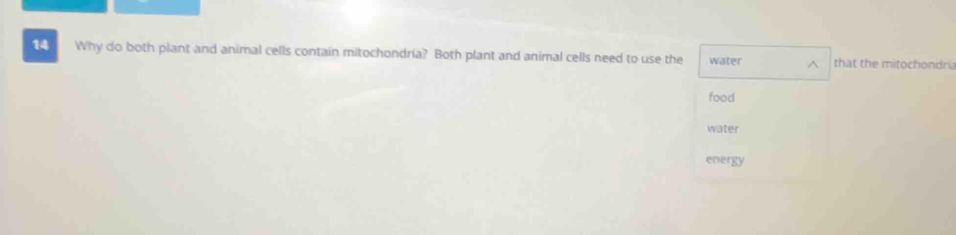 14 why do both plant and animal cells contain mitochondria? both plant …