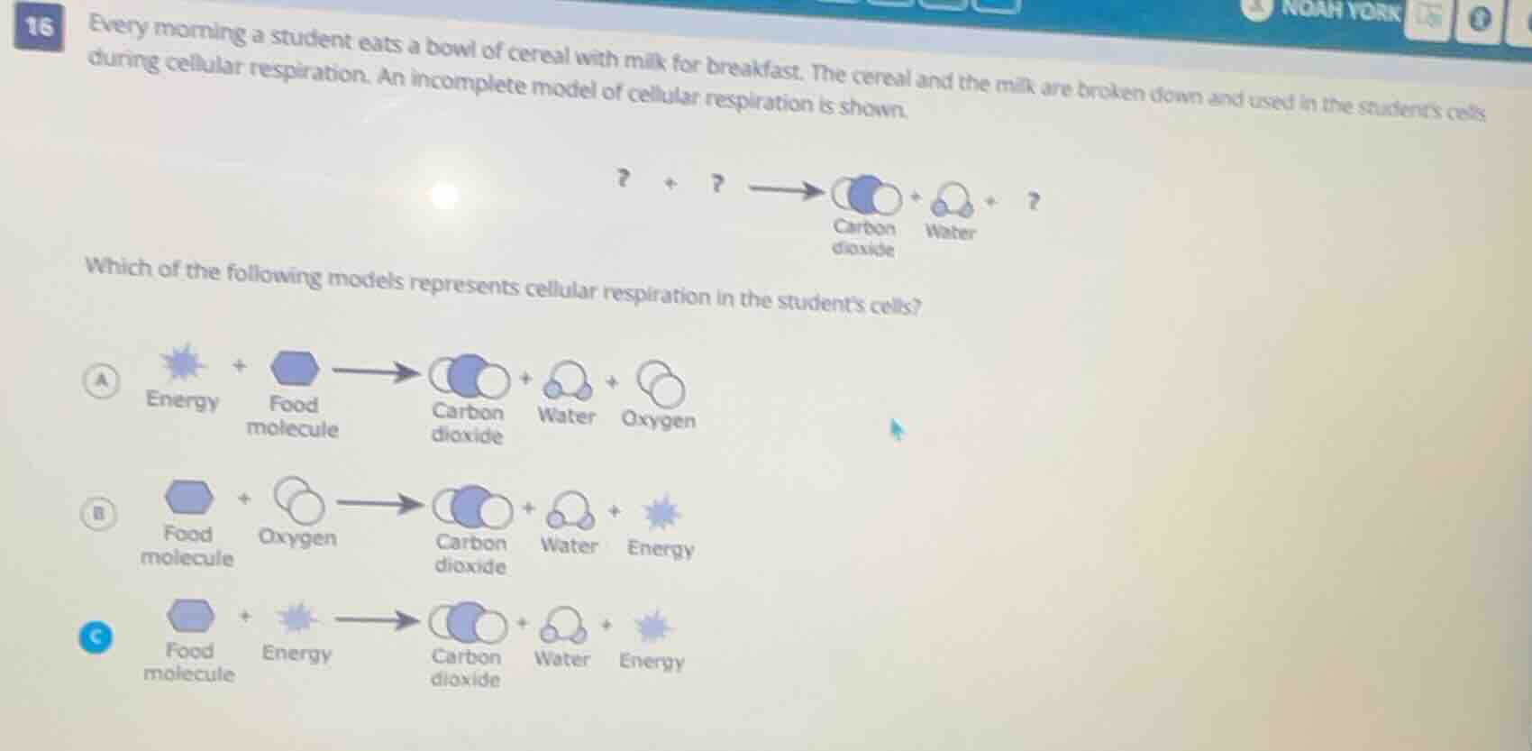 16 every morning a student eats a bowl of cereal with milk for breakfas…