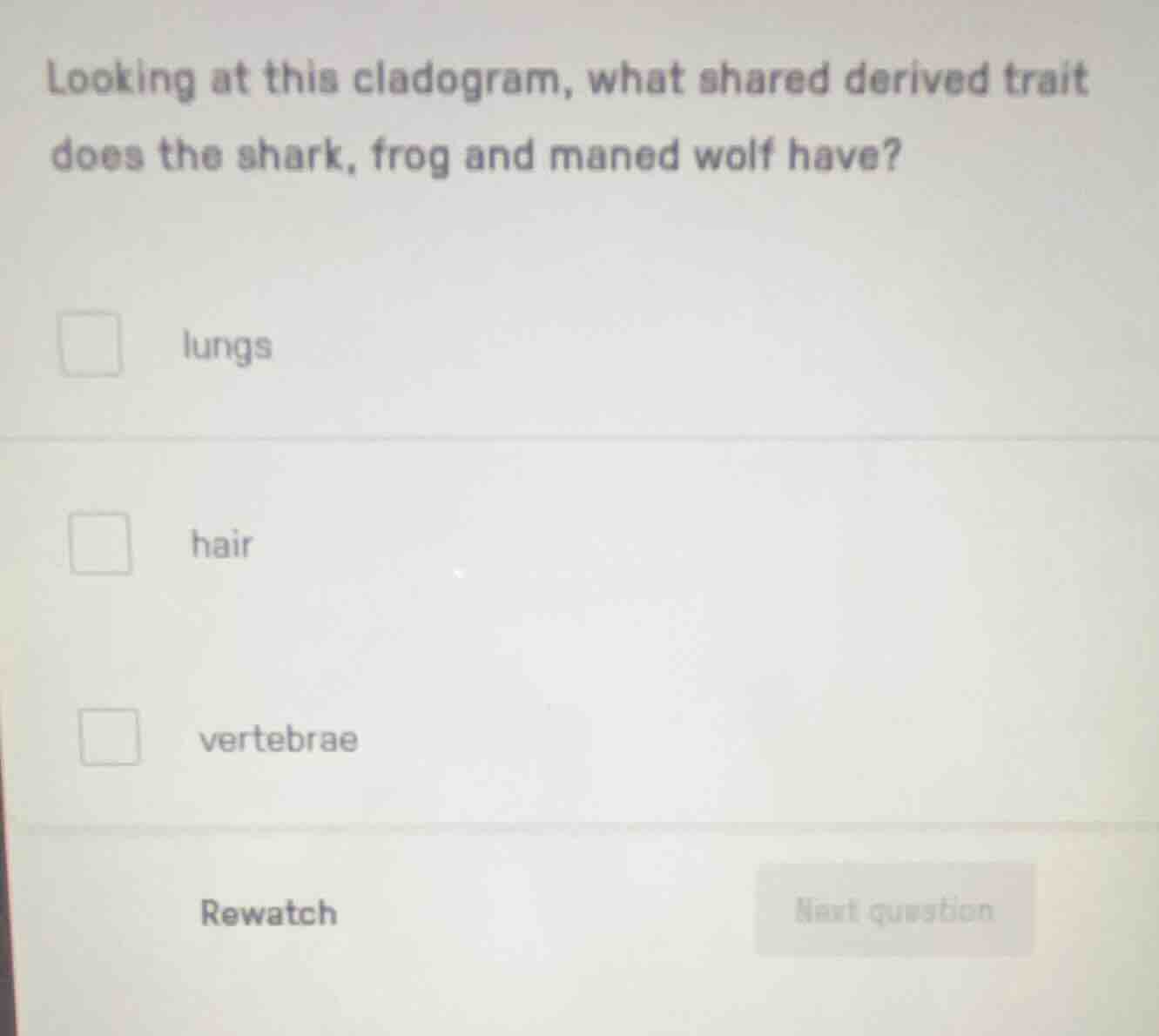 looking at this cladogram, what shared derived trait does the shark, fr…