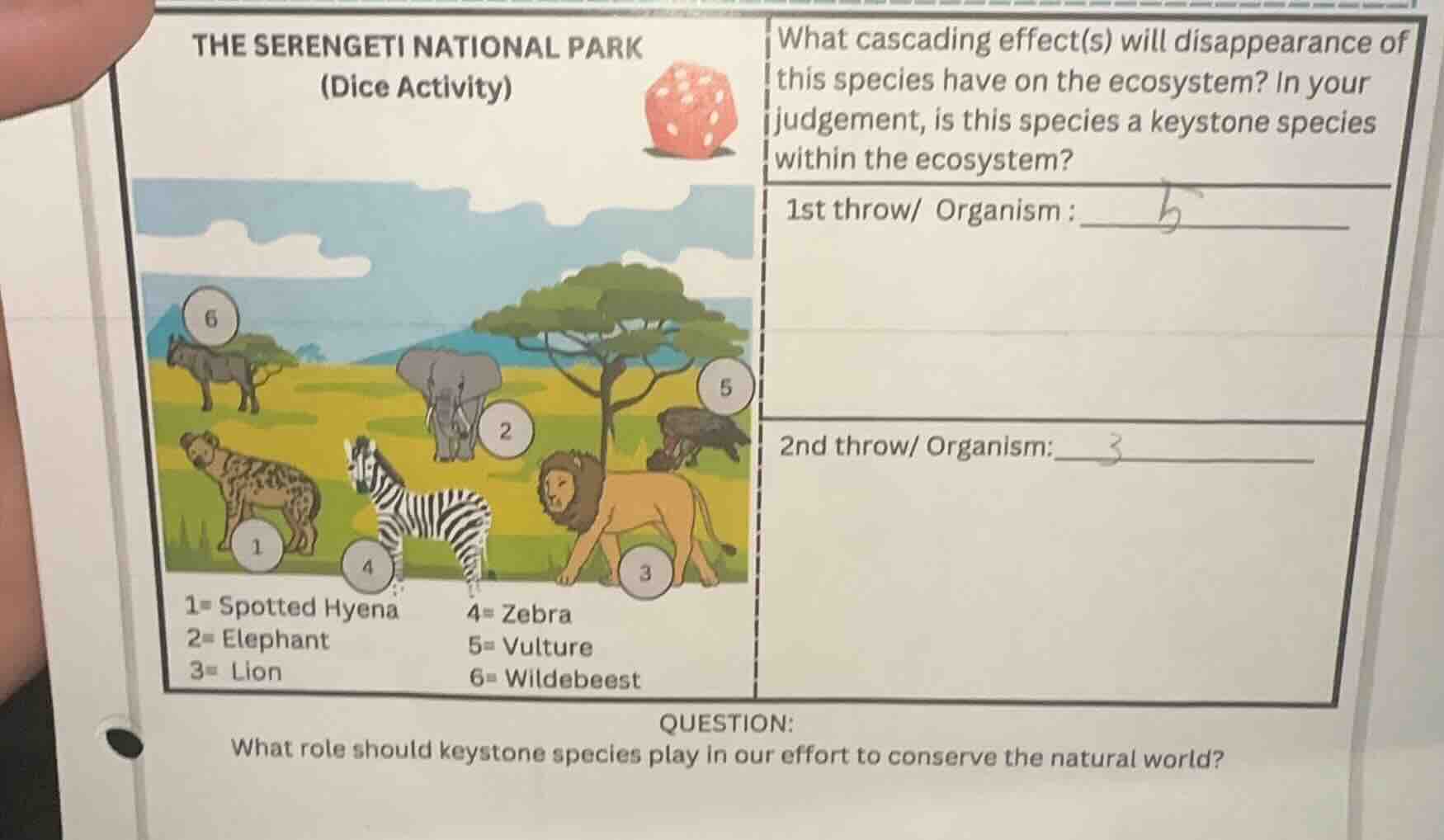 the serengeti national park (dice activity) 1= spotted hyena 2= elephan…