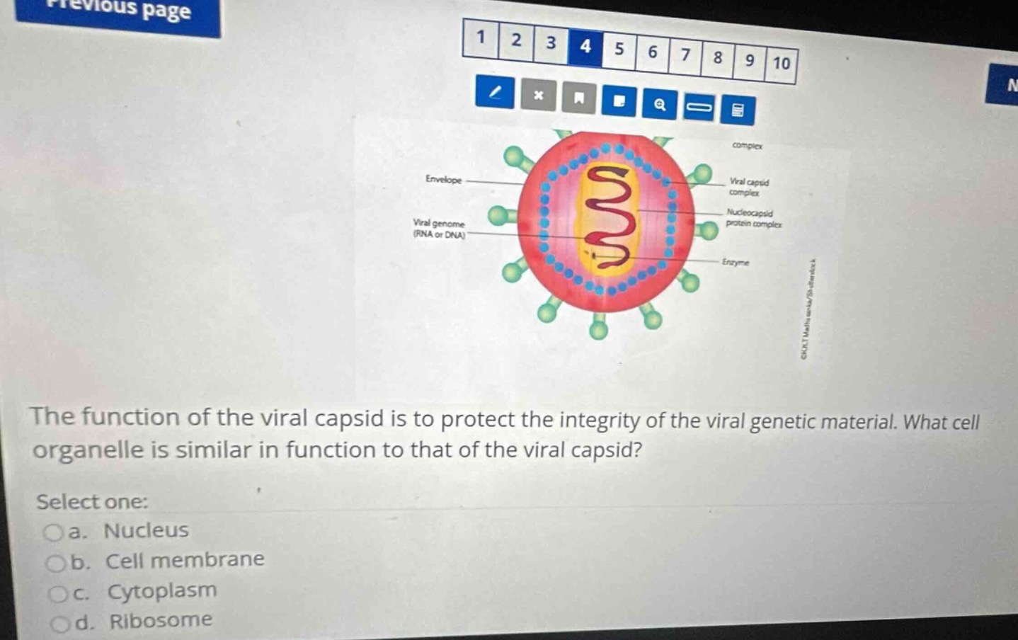 the function of the viral capsid is to protect the integrity of the vir…