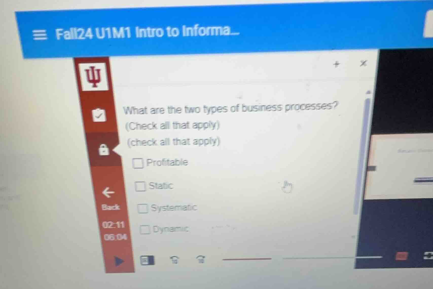 what are the two types of business processes? (check all that apply) (c…