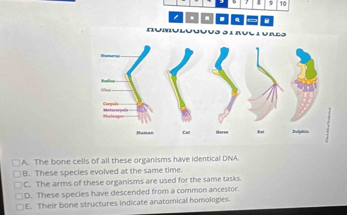 a. the bone cells of all these organisms have identical dna. b. these s…