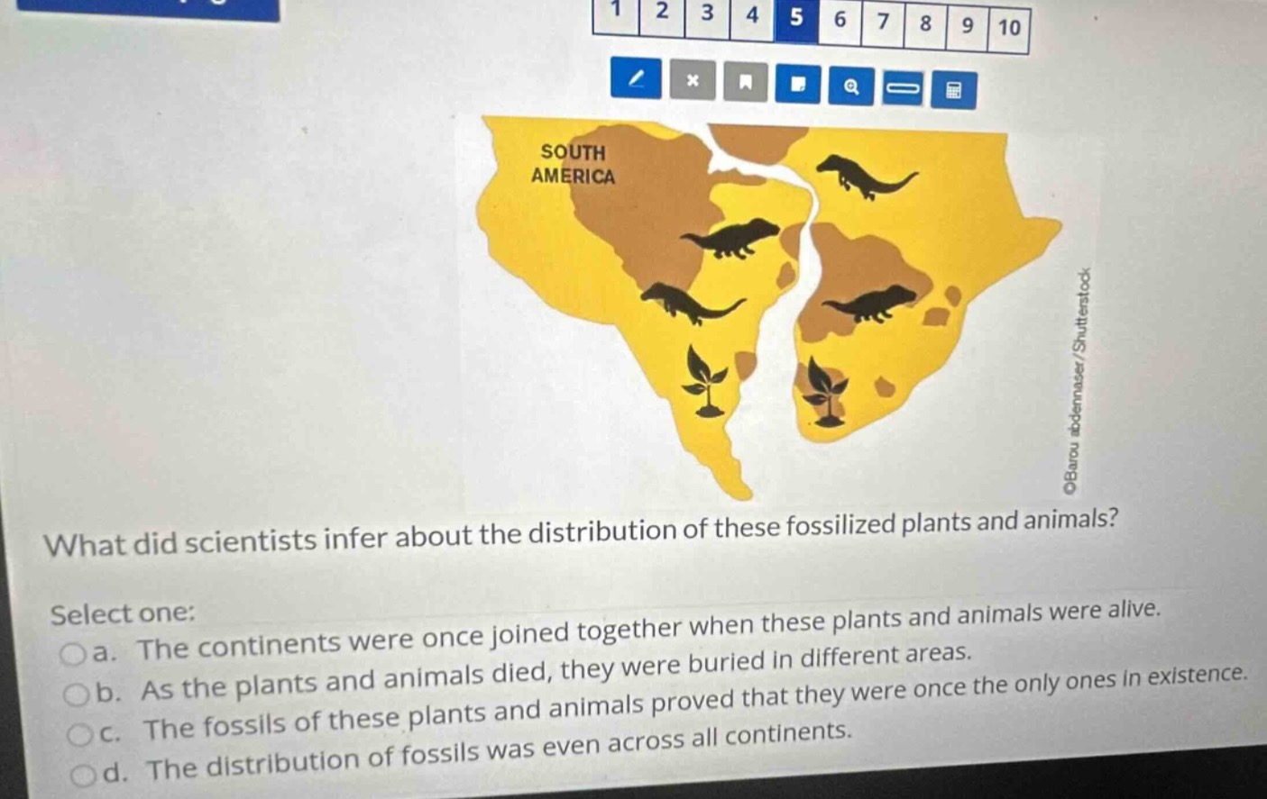what did scientists infer about the distribution of these fossilized pl…