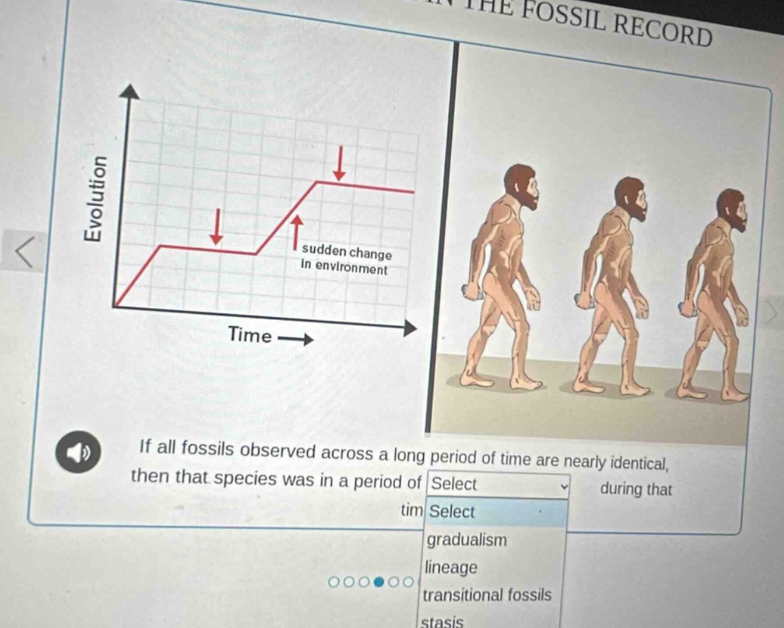 if all fossils observed across a long period of time are nearly identic…