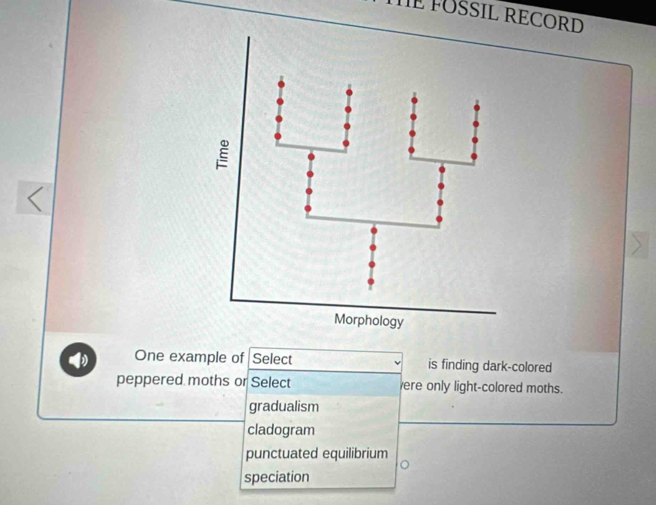 fossil record time morphology one example of select is finding dark - c…