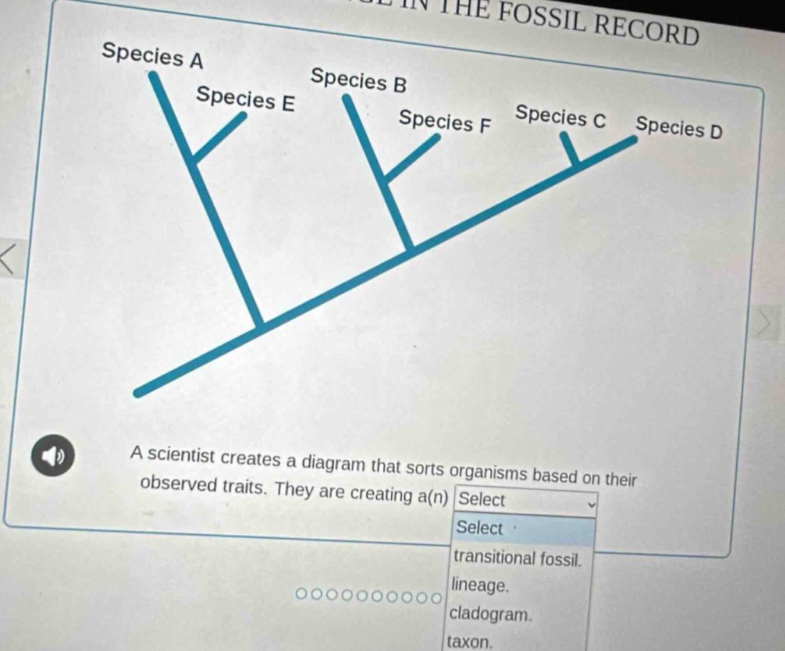 a scientist creates a diagram that sorts organisms based on their obser…