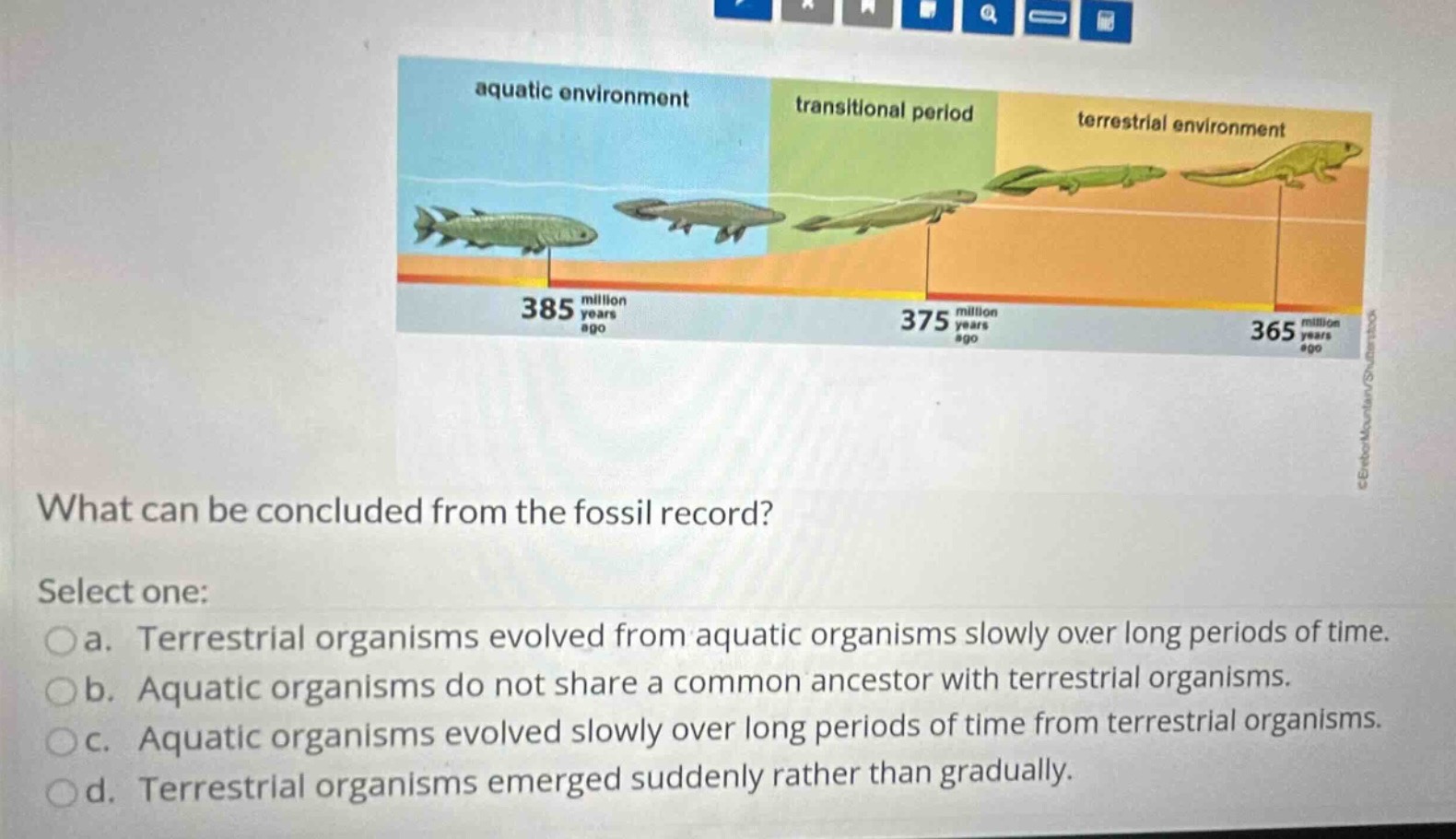 what can be concluded from the fossil record? select one: a. terrestria…