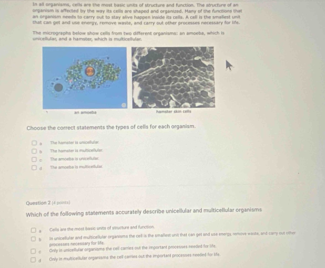 in all organisms, cells are the most basic units of structure and funct…