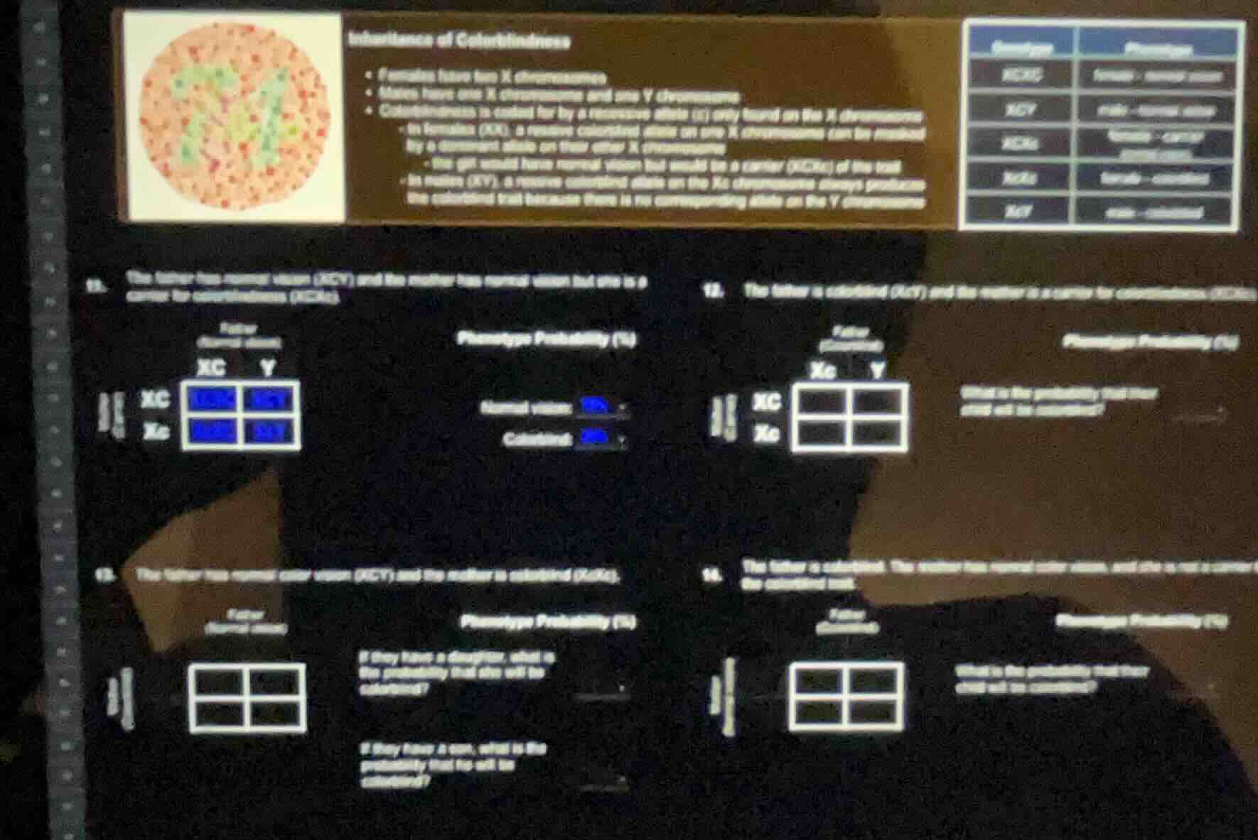 inheritance of colorblindness - females have two x chromosomes - males …