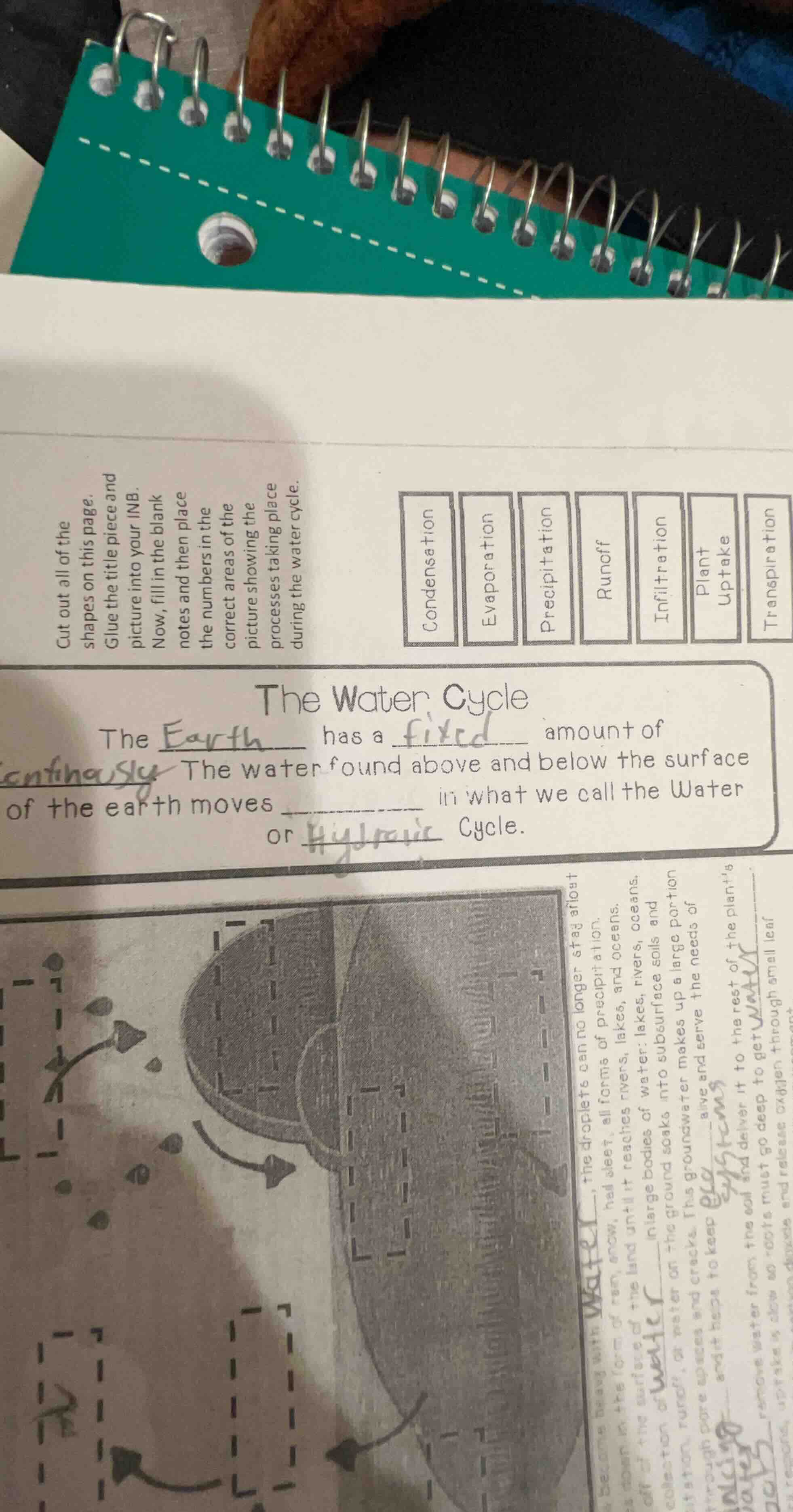 cut out all of the shapes on this page. glue the title piece and pictur…