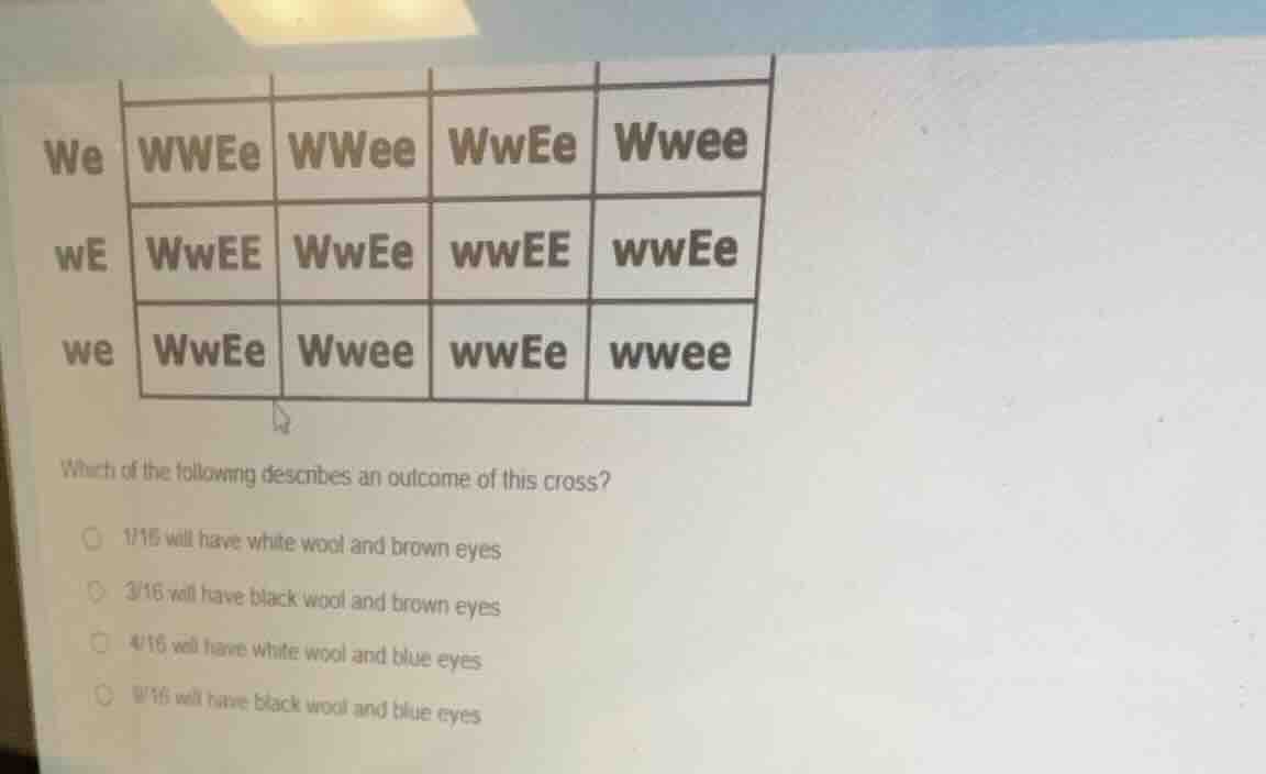 we wwee wwee wwee wwee we wwee wwee wwee wwee we wwee wwee wwee wwee wh…