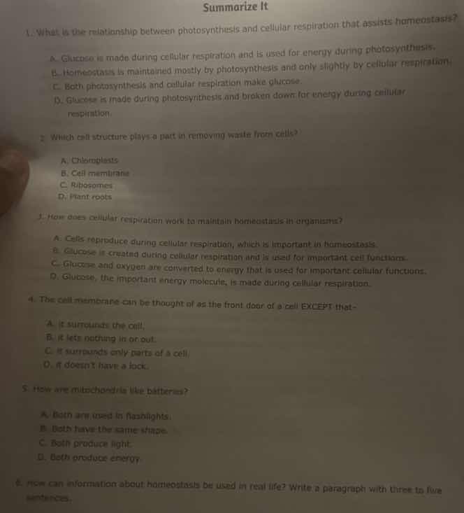 summarize it 1. what is the relationship between photosynthesis and cel…