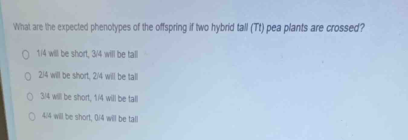 what are the expected phenotypes of the offspring if two hybrid tall (t…