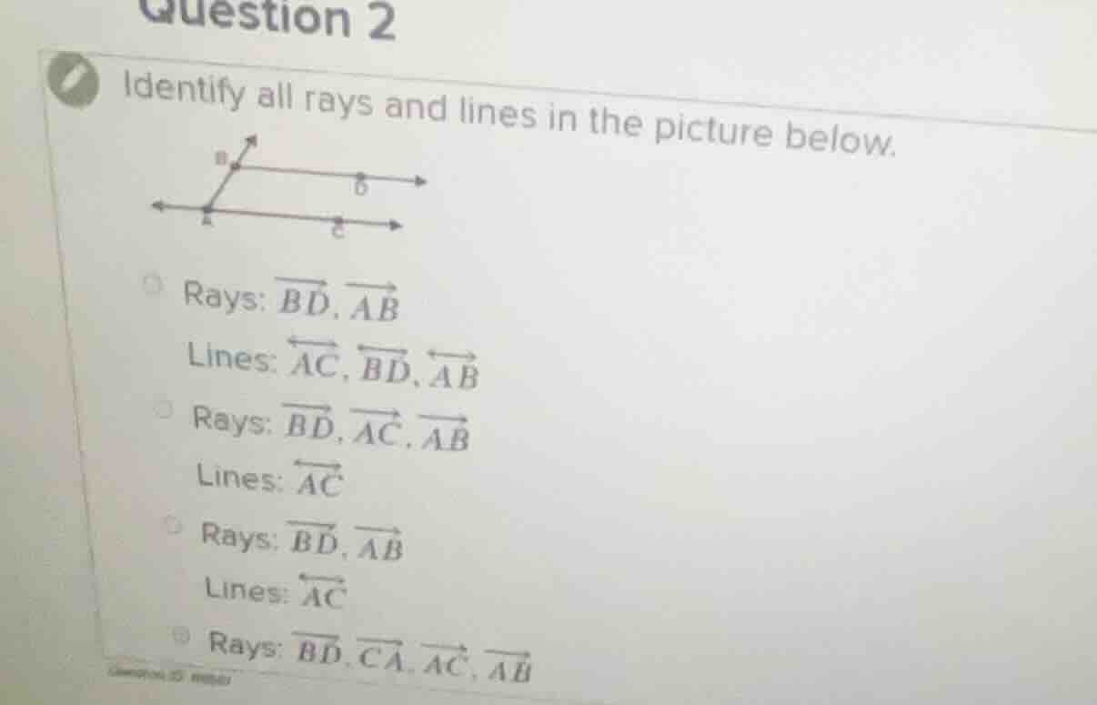 question 2 identify all rays and lines in the picture below. rays: $ove…