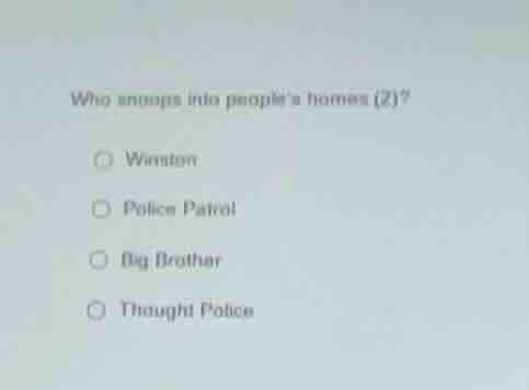 who snoops into peoples homes (?)? winston police patrol big brother th…