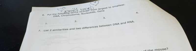 6. put the following items in order from largest to smallest: dna, chro…